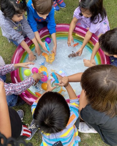 Training Young Minds